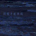 同频才能共鸣专辑