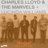 Charles Lloyd & The Marvels - Angel (Americana Edit)