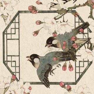 国风美少年 | 值得挖掘的惊艳原唱合集（2）