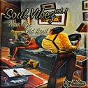 Soul Vibez, Vol. 1 New Age Old Soul专辑