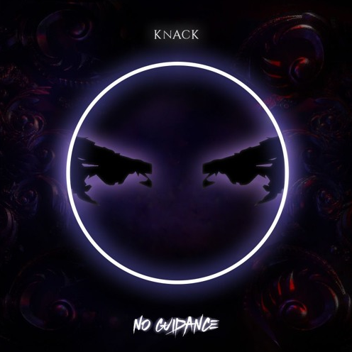 No Guidance (Remix)
