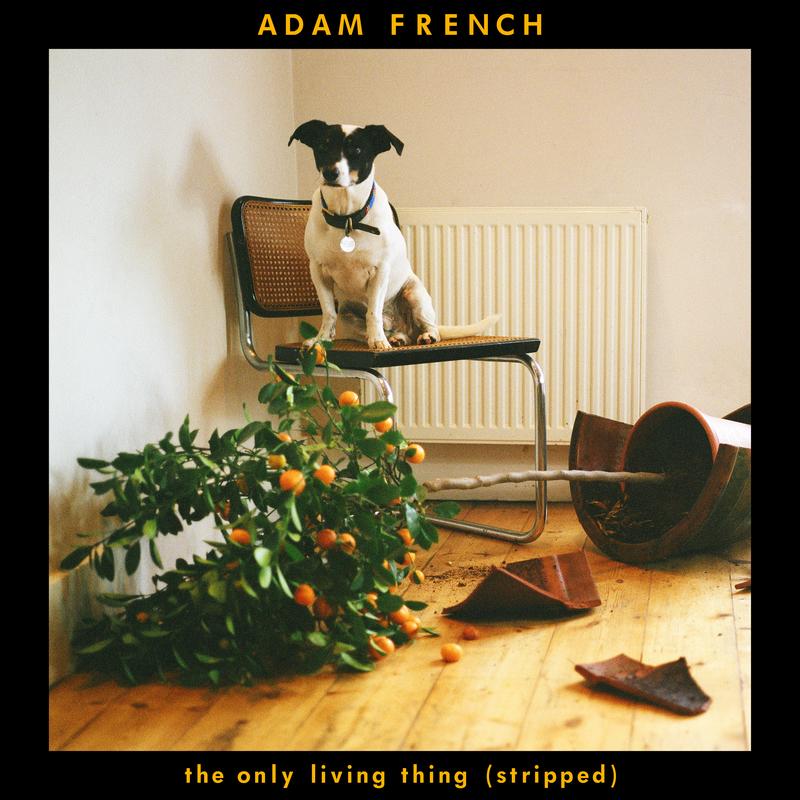 The Only Living Thing (Stripped)