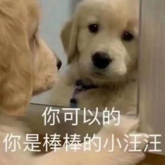 【学习必备】努力只能及格 拼命才能优秀