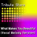 One Direction - What Makes You Beautiful (Vocal Melody Version)专辑