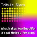 One Direction - What Makes You Beautiful (Vocal Melody Version)专辑