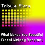 One Direction - What Makes You Beautiful (Vocal Melody Version)专辑