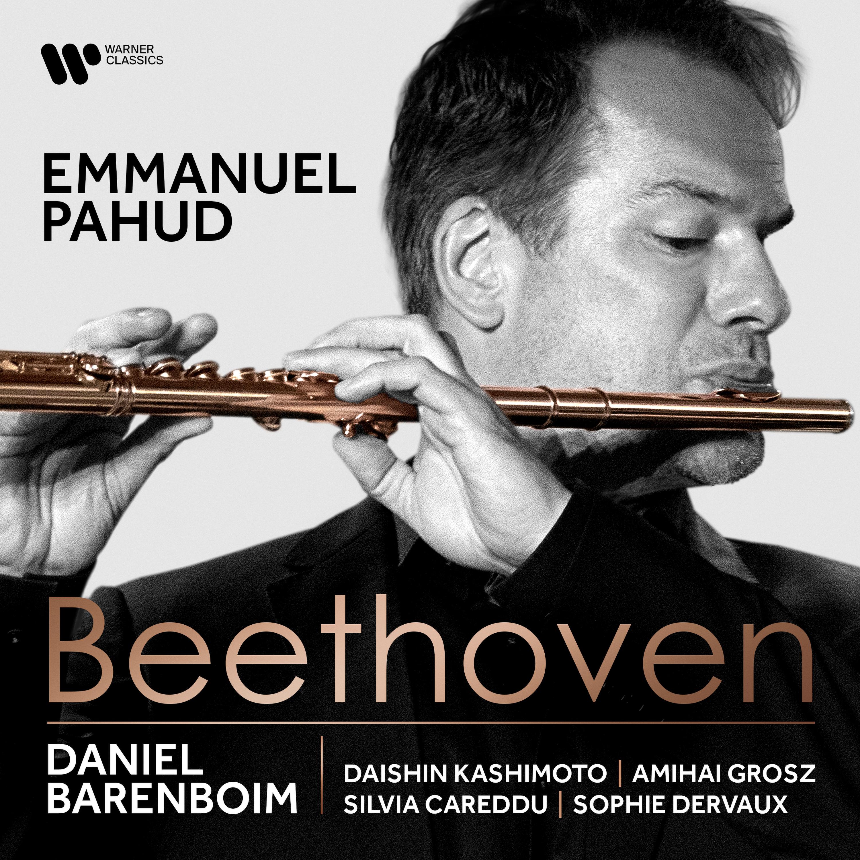 Beethoven: Violin Sonata No. 8 in G Major, Op. 30 No. 3 in G Major: III. Allegro vivace (Arr. Flute and Piano)