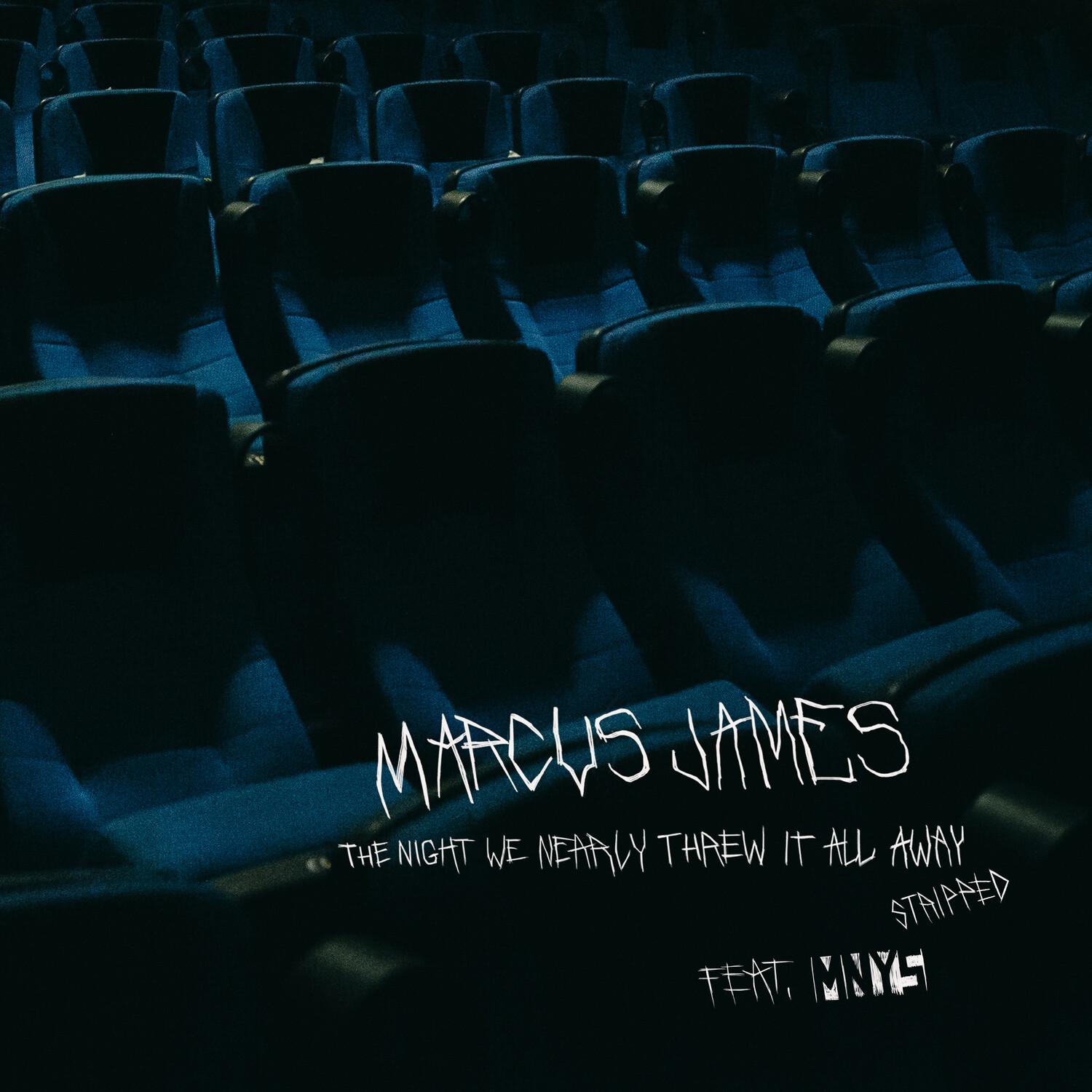 The Night We Nearly Threw It All Away (Stripped)