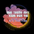 ไม่ต้องมีคำบรรยาย (EDM RMX PROJECT) - Single