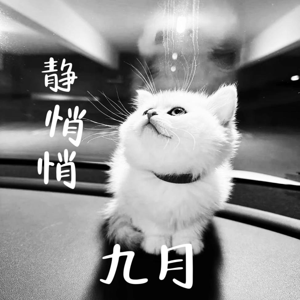 静悄悄