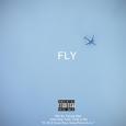 Fly