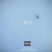 Fly