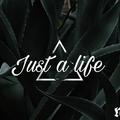 Just a life