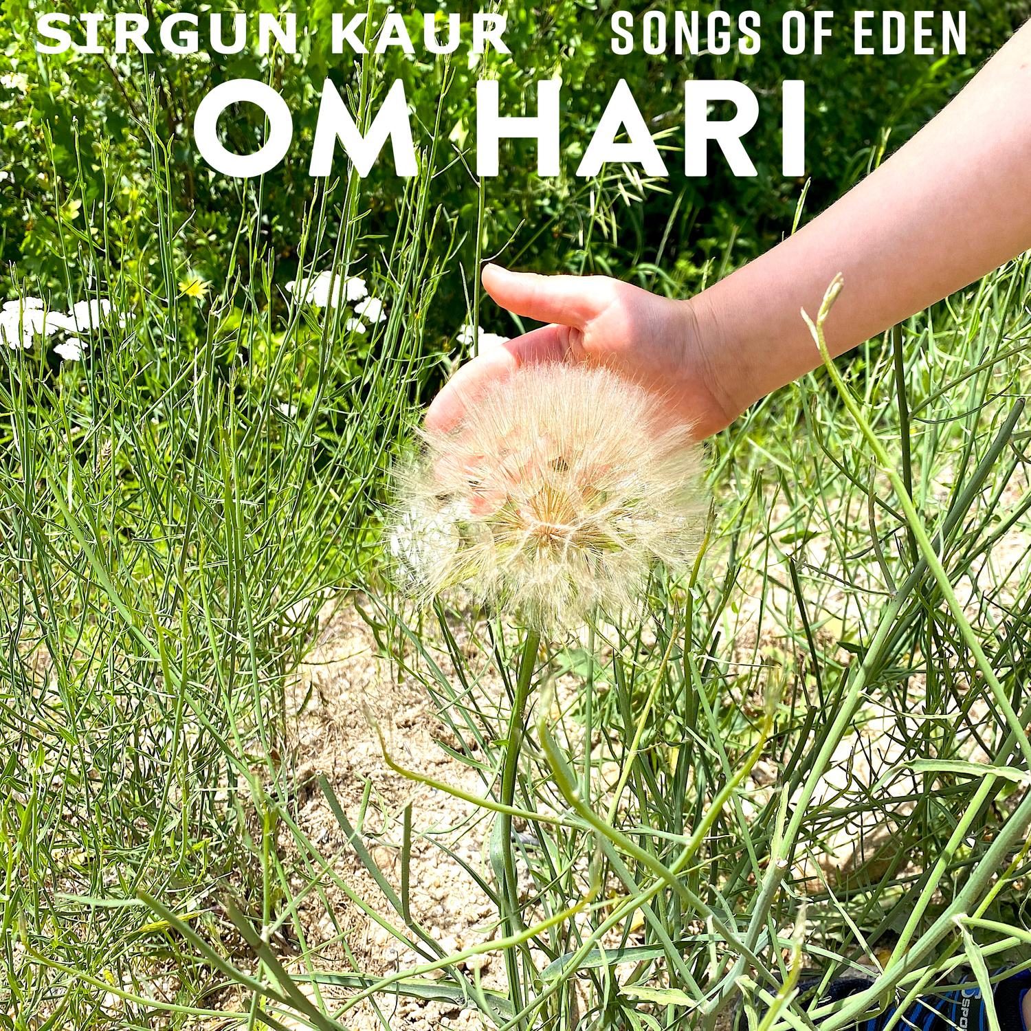 Om Hari (feat. Porter Singer)