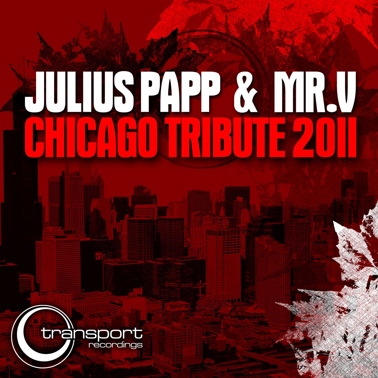Chicago Tribute 2011