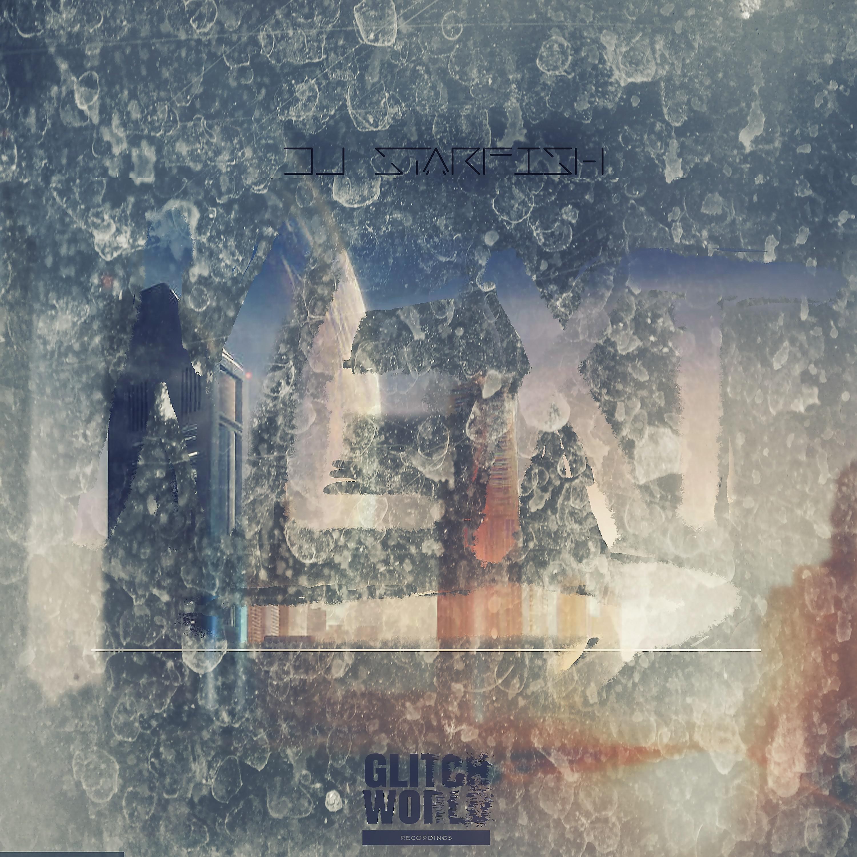 DJ Starfish - Next (Original Mix)