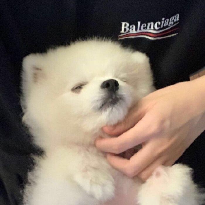 等你的季节