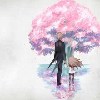 回到远方的天空时，樱花将飘落凋谢。