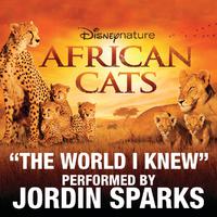 原版伴奏   The World I Knew - Jordin Sparks (From Disneynature African Cats) (karaoke) 有和声