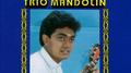 Trio Mandolin专辑