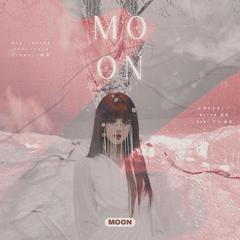 moonll网易云