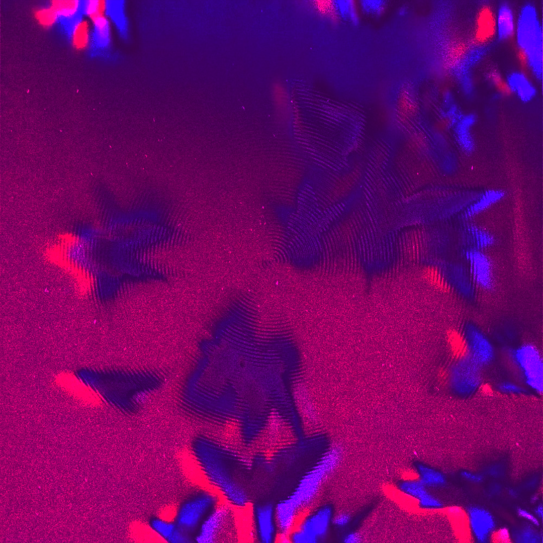 暖冬GREENWINTER