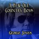 A Few Ole Country Boys专辑