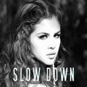 Selena Gomez - Slow Down (Schweik.G Booty Mix)专辑