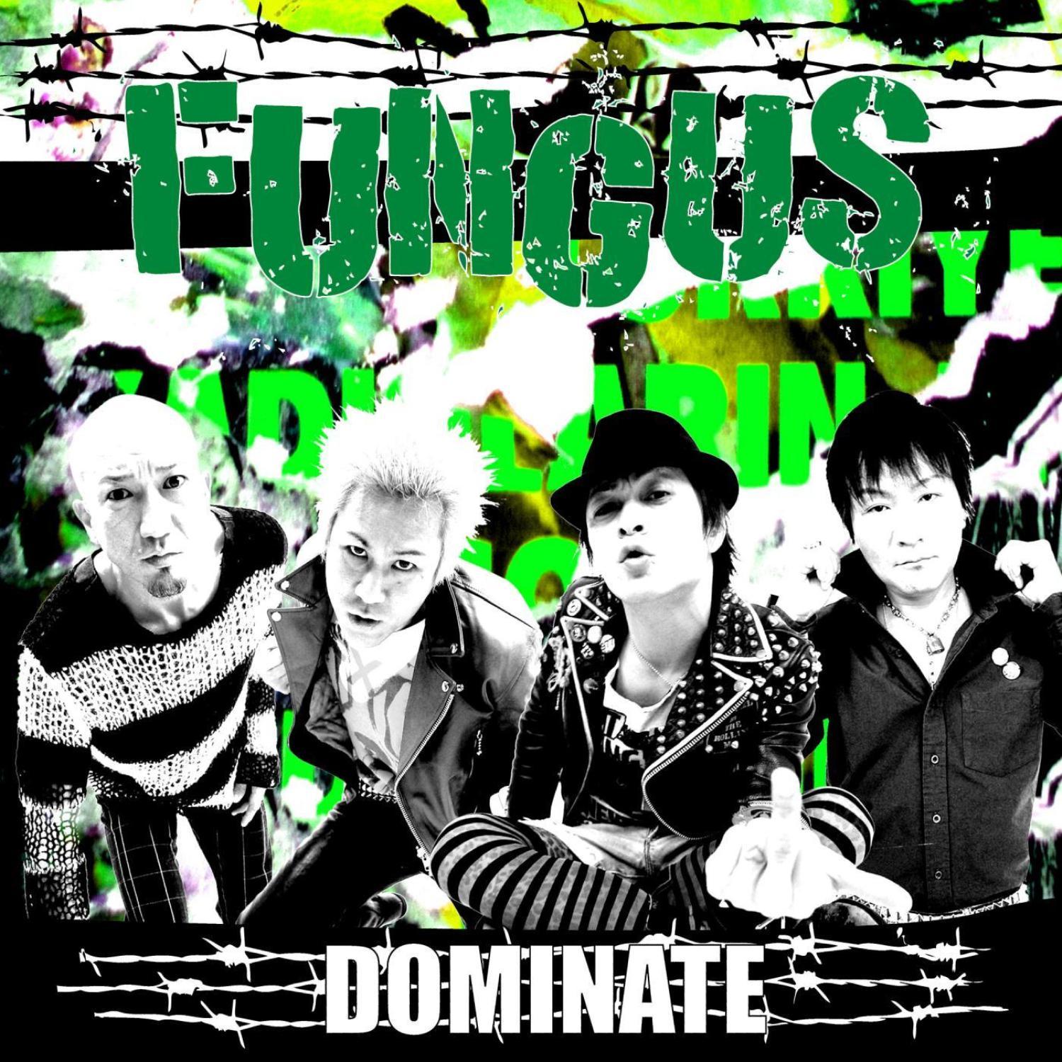 Dominate