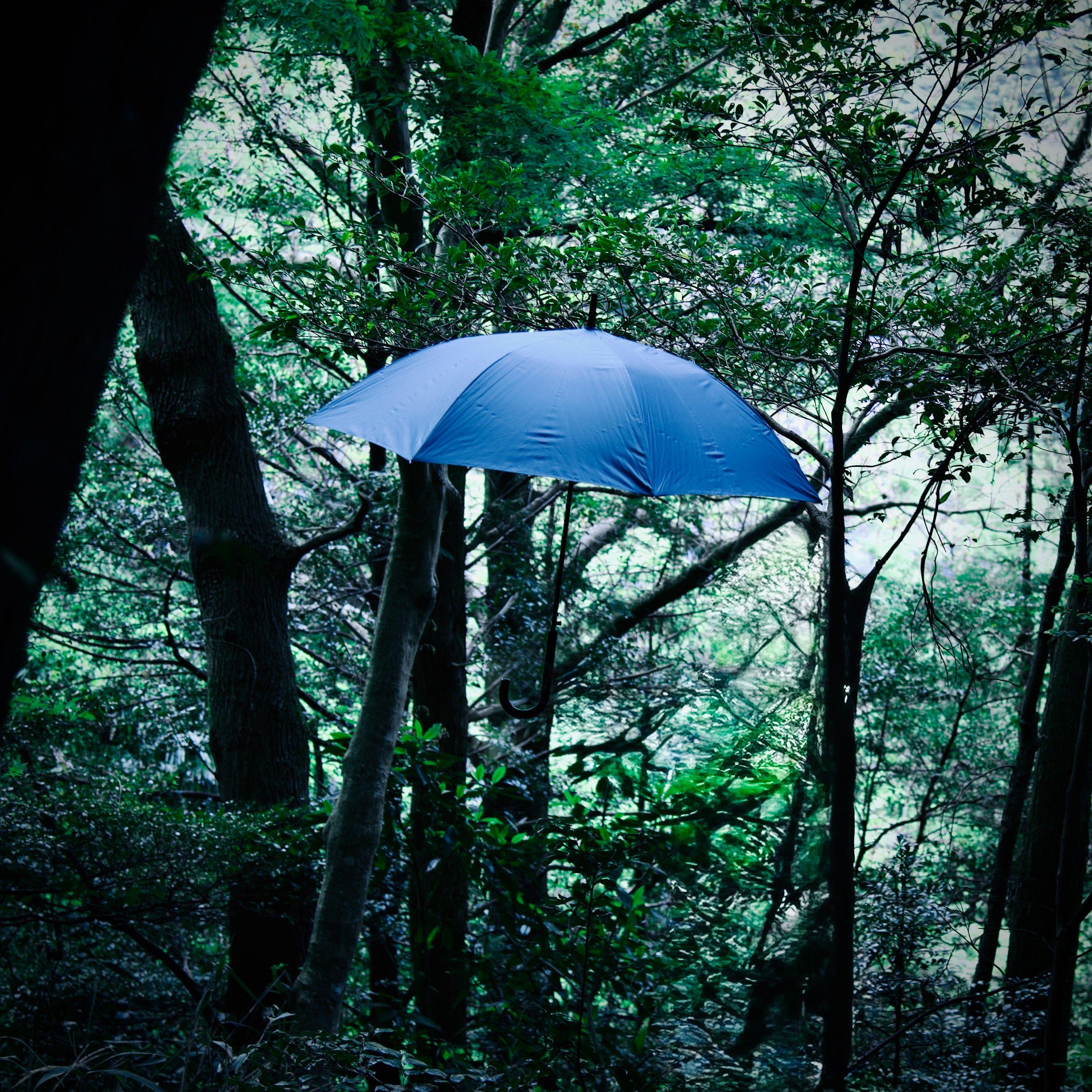 秘密基地