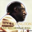 Live at Carnegie Hall (Album 1)专辑