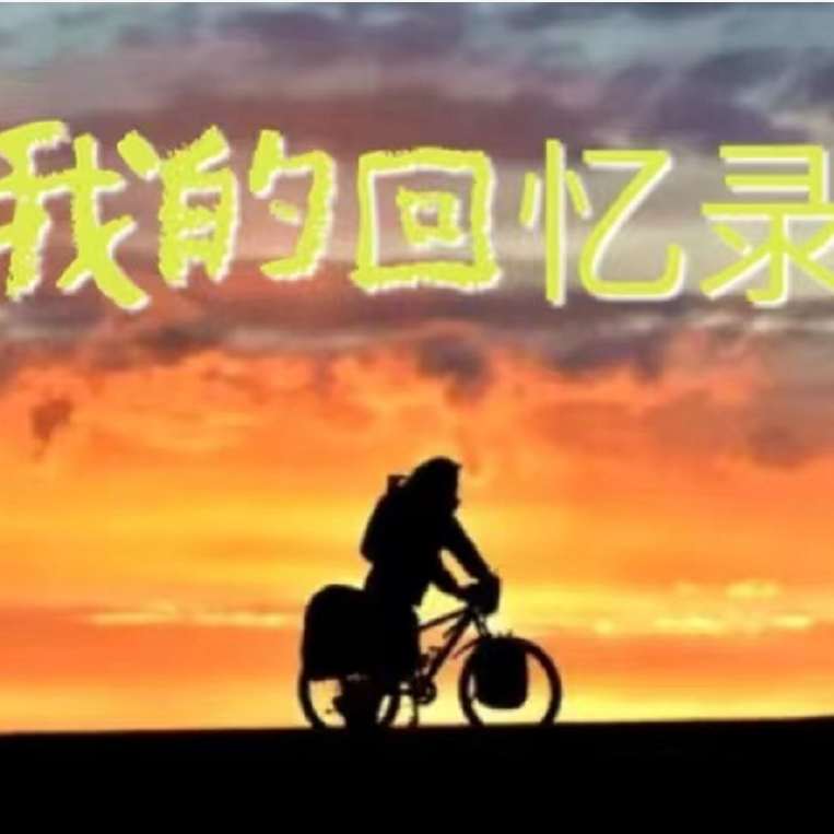 我的回忆录
