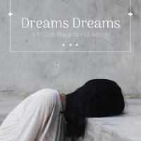 Dreams Dreams : Located Link Mix （Instrumental）