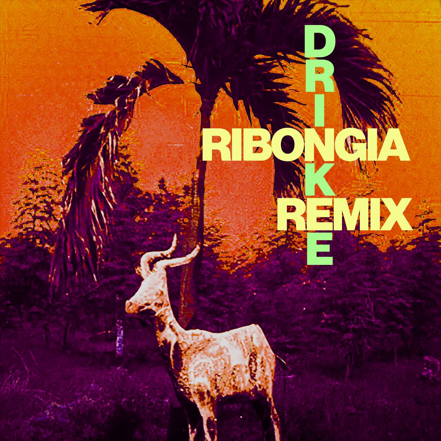 Drinkee (Ribonga Remix)专辑