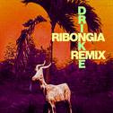 Drinkee (Ribonga Remix)专辑