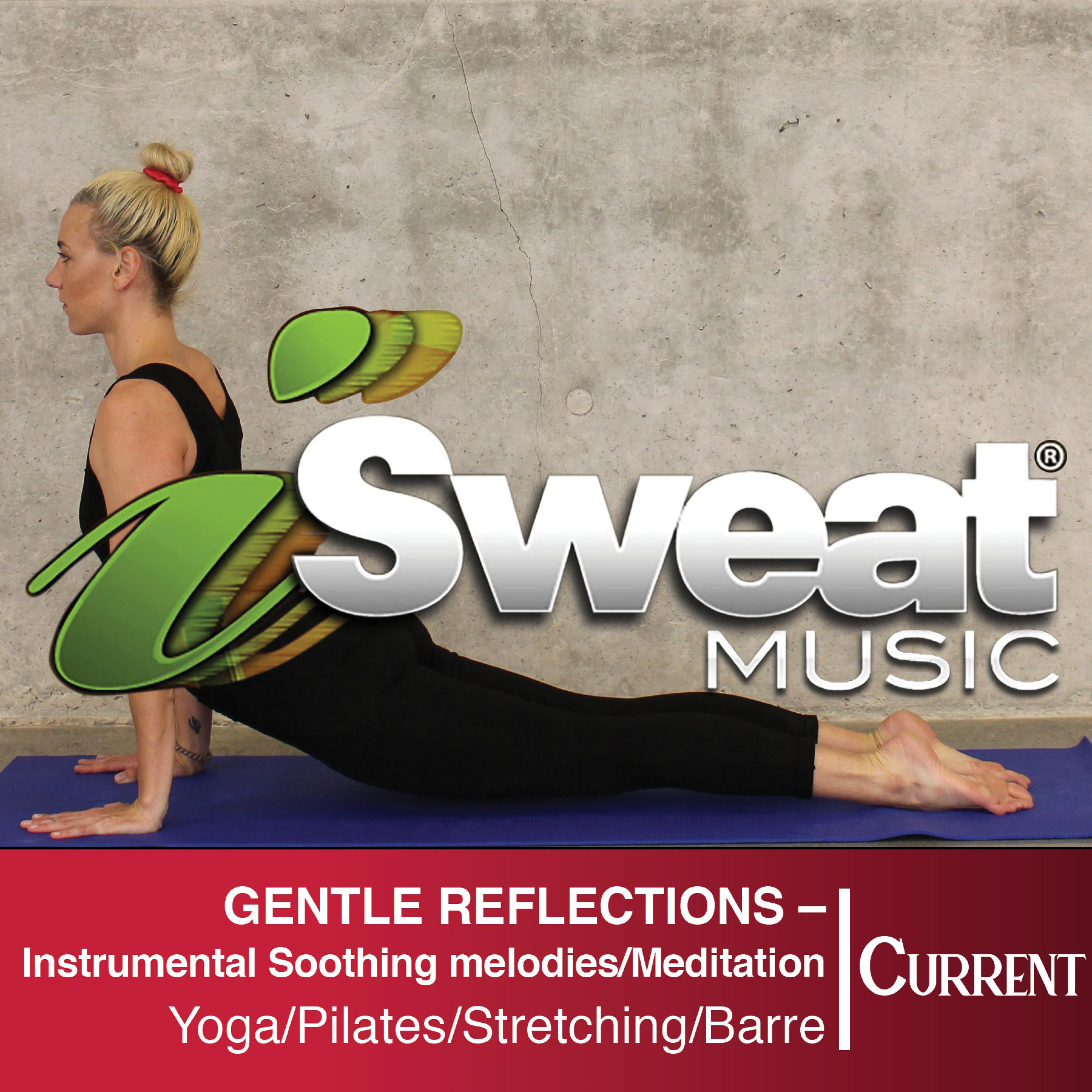 Gentle Reflections - Instrumental soothing melodies - meditation