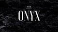 Onyx专辑