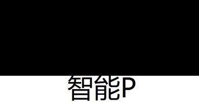 智能P