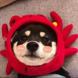 网抑云（抖音）
