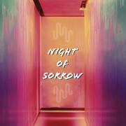 Night of Sorrow