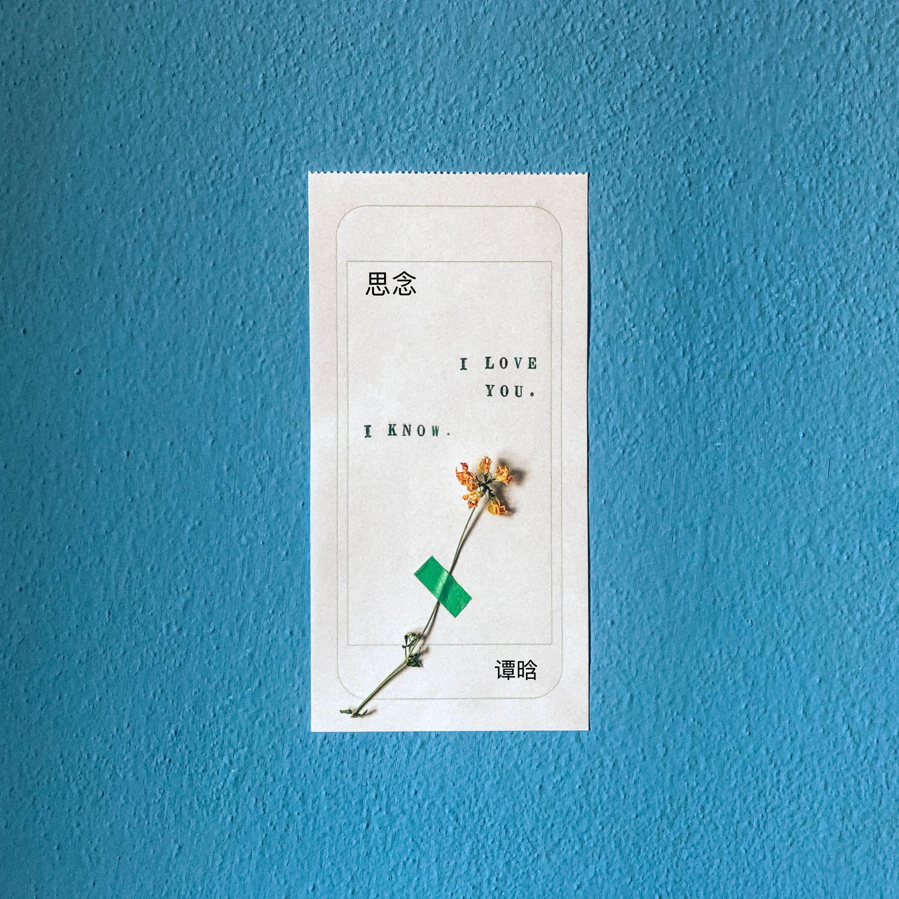 思念