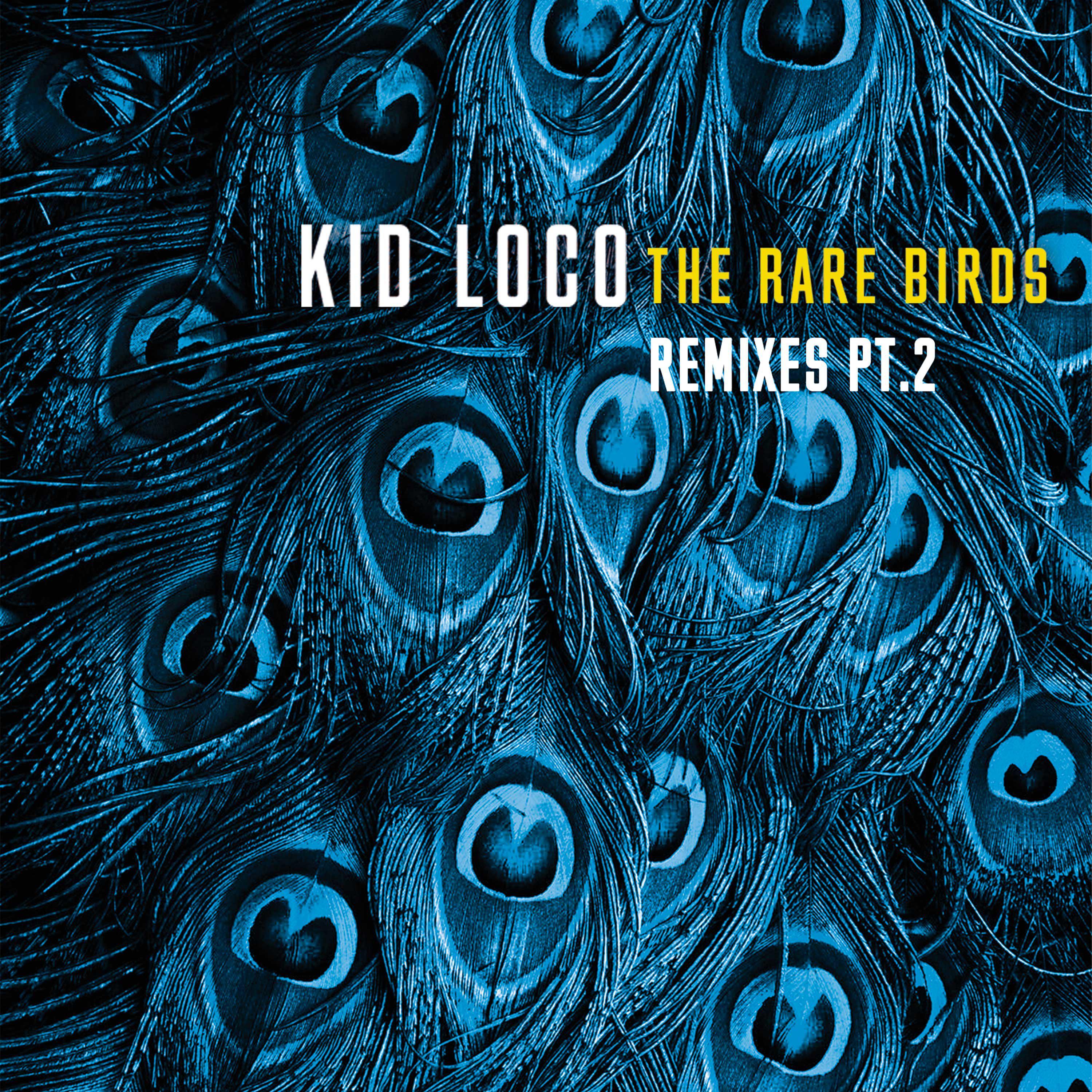 Kid Loco - No Tether (British Eagle Remix)