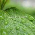 Rain for Rest专辑