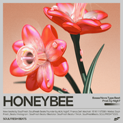 Bossa Nova x Trap Type Beat "Honeybee"