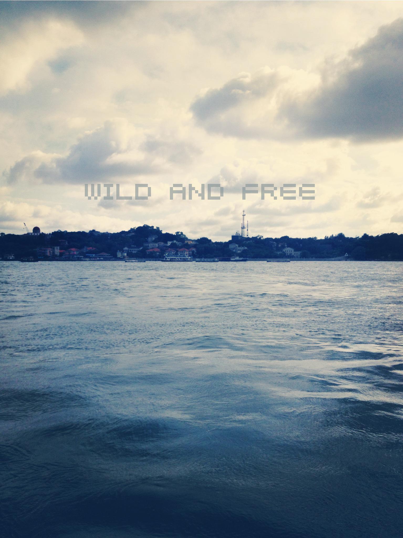 Wild and Free专辑