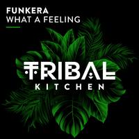 Funkera - What A Feeling (Extended Mix)