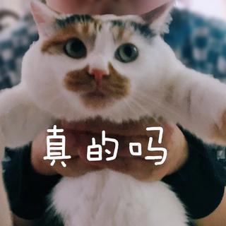 中国也有不土的摇滚乐吗？当然！