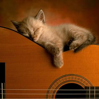 古典乐·专治假期综合症