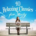 40 Relaxing Classics for Study专辑