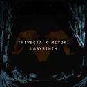 Labyrinth (feat. Miyoki)专辑